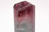 Bi-Colored Elbaite Tourmaline Crystal - Coronel Murta, Brazil #206250-5